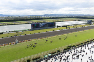 Kyoto Racecourse
