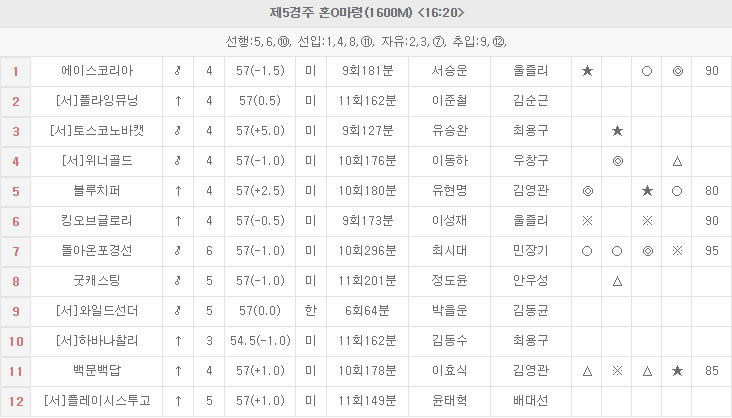 Owners Cup 일요일 부산경마장 오너스컵과 서울 12R 삼쌍승식 예상 및 결과