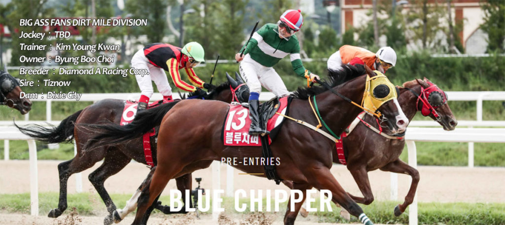 blue chipper breeders cup 1024x457 [경마올림픽] 브리더스컵 2일차 Breeders’ Cup Classic, 블루치퍼 Dirt Mile 출전