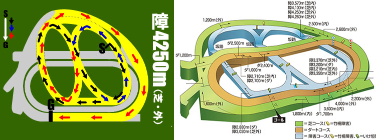 NAKAYAMA DAISHOGAI COURSE 일본경마 나카야마 그랜드점프 오주초산 대회 5연패! 1두 낙마 사망사고